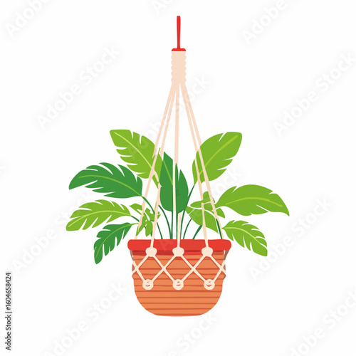 Hanging plant in macrame – Potted plant swinging gently in a knotted hanging cradle.
