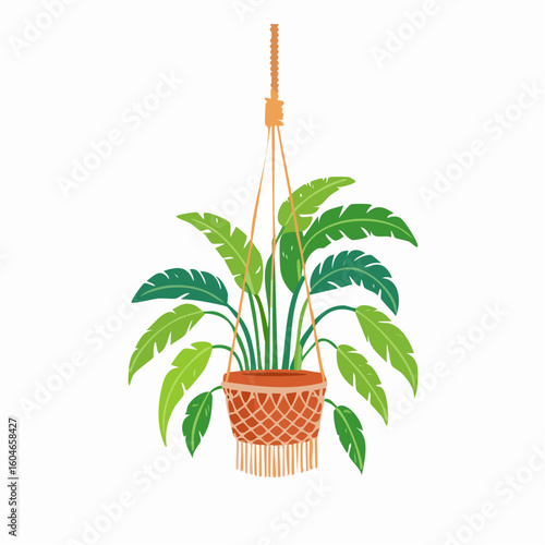 Hanging plant in macrame – Potted plant swinging gently in a knotted hanging cradle.
