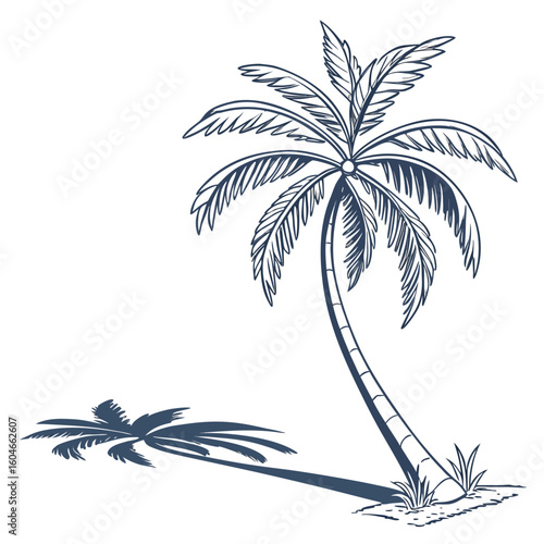 palm tree vector illustration