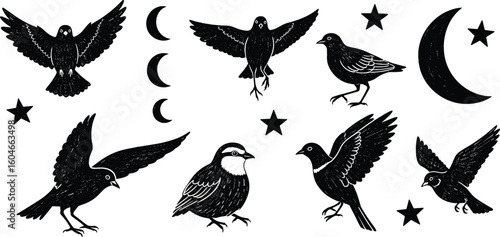 Abstract crayon drawn birds and doves collection. Hand drawn vector black ink illustration. Simple naive style.