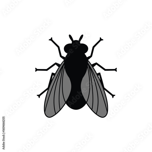 Black silhouette of a fly with transparent wings on a white background