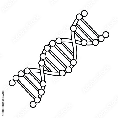 Simple hand drawn illustration of a dna double helix structure