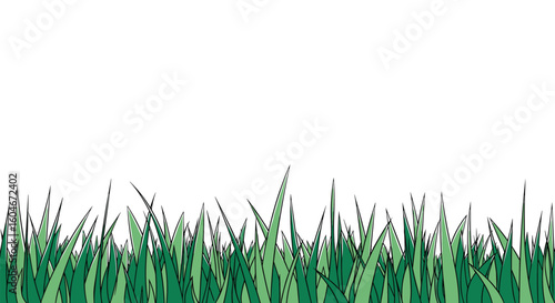 Lush green grass blades swaying gently in a light breezy wind against a clean white backdrop