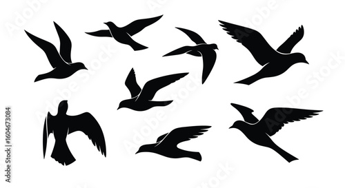 A collection of elegant bird silhouettes flying gracefully through the sky