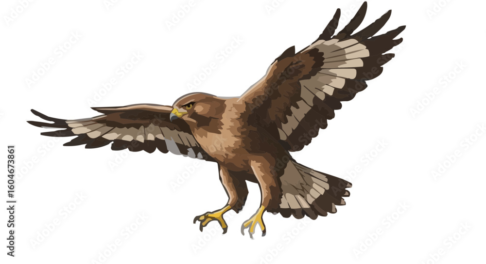 Obraz premium bald eagle in flight