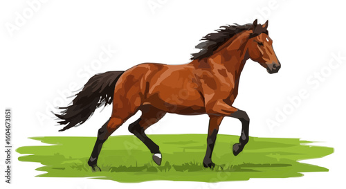 horse on the grass