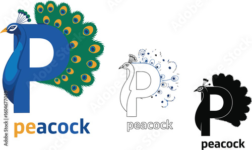 Peacock logo design idea with p letter and feather tail vector illustration template concept design
