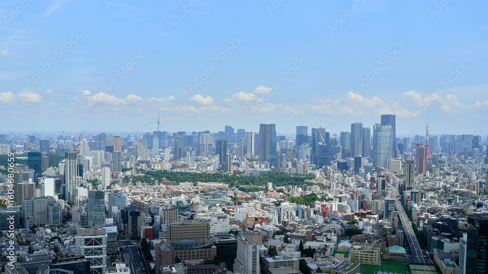 Obraz premium 高いところから見下ろす東京の街並み