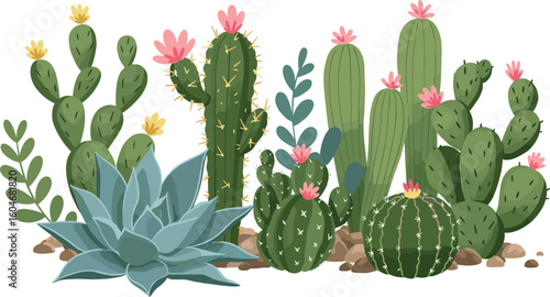 Cute cartoon cactus and succulent plants with flowers – desert flora illustration in green tones with pink blooms and rocks.