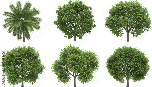 Realistic green trees and tropical palm collection, isolated on white background, perfect for landscape design, nature scenes, and 3D modeling