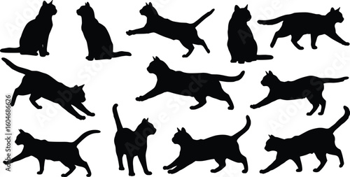 Set of black cat silhouettes in various poses, walking, sitting, stretching, and jumping, isolated vector illustrations on white background.