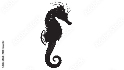Elegant black seahorse silhouette on white background, marine life vector illustration