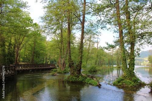 bridge over the river