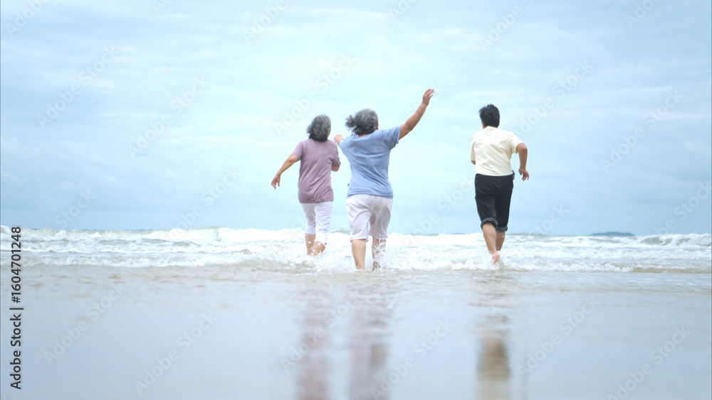 Happy senior women enjoying a playful walk on the beach, Happy senior women enjoying a playful walk on the beach,