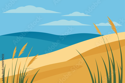 sand dunes on the beach