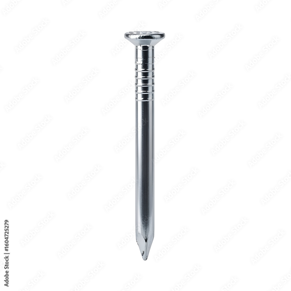 Single Metallic Construction Nail. Single Metallic Construction Nail.