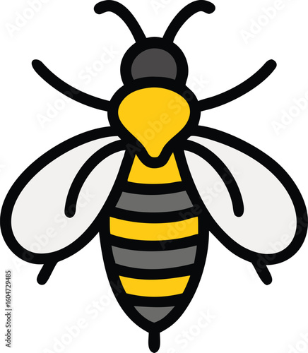 Yellow and grey striped bee with white wings insect