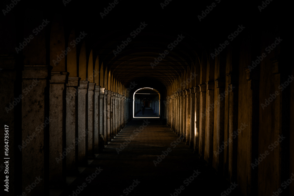 Obraz premium Dark tunnel perspective. Grunge architecture, old corridor in shadow.