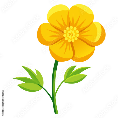 Illustration of a bright yellow buttercup flower with green leaves and stem for botanical art