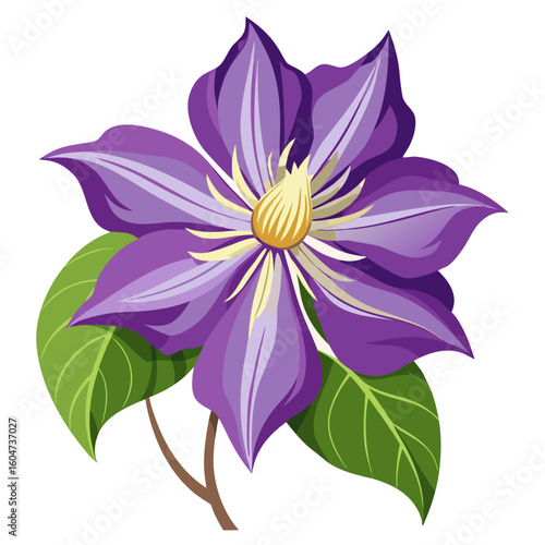Beautiful purple clematis flower illustration with green leaves vector graphic design element