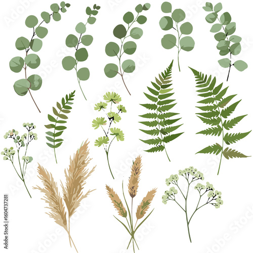 Watercolor botanical clipart collection on white background