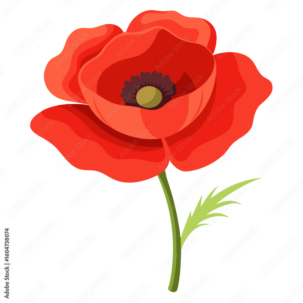 Fototapeta premium Beautiful red poppy flower illustration for floral design projects and remembrance day art needs