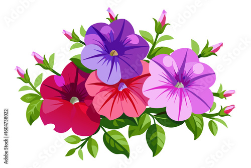 Beautiful petunia flower arrangement vector illustration for floral design and decoration use