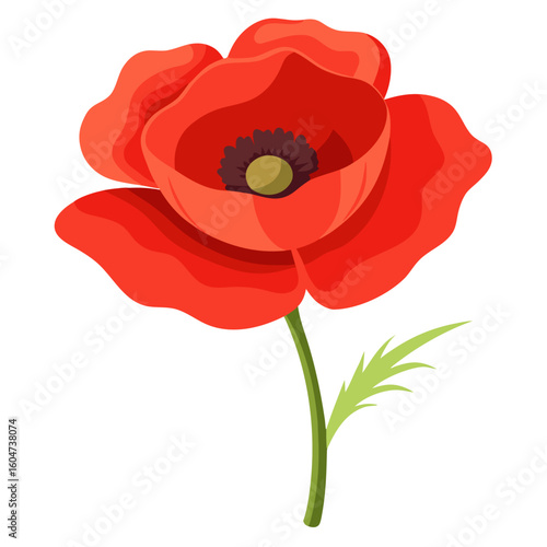 Beautiful red poppy flower illustration for floral design projects and remembrance day art needs