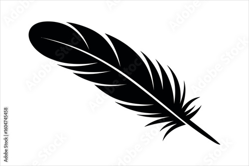 Black feather quill on white writing