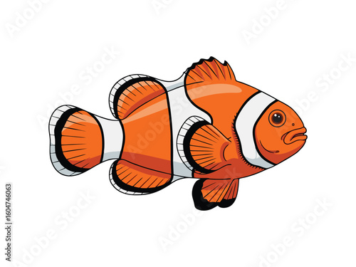 Clownfish on a white background