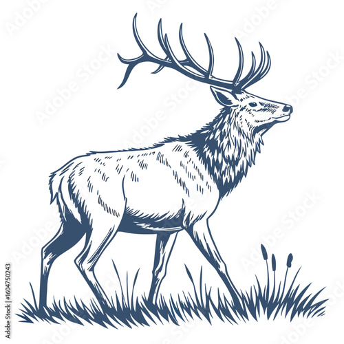 Dark blue elk illustration walking through grass on a solid white background with large antlers and a side profile view