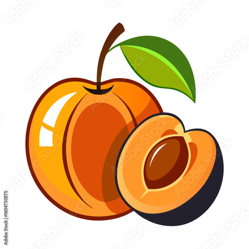 Stylized vector illustration of a whole and halved apricot with pit
