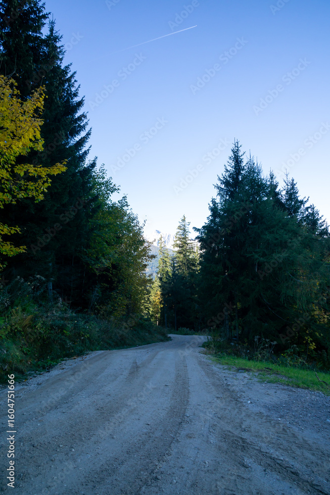 Obraz premium A dirt road with trees in the background