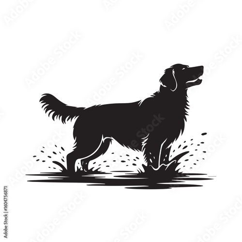 Silhouette of a happy golden retriever dog playing and splashing in muddy water on a white background
