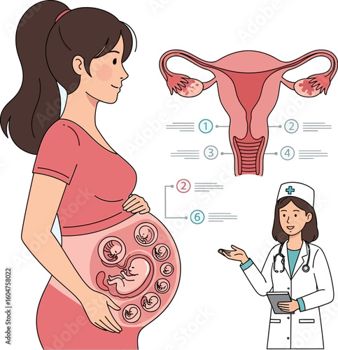 A pregnant woman with multiple embryos in her womb, alongside a diagram of the uterus and a doctor explaining the process.