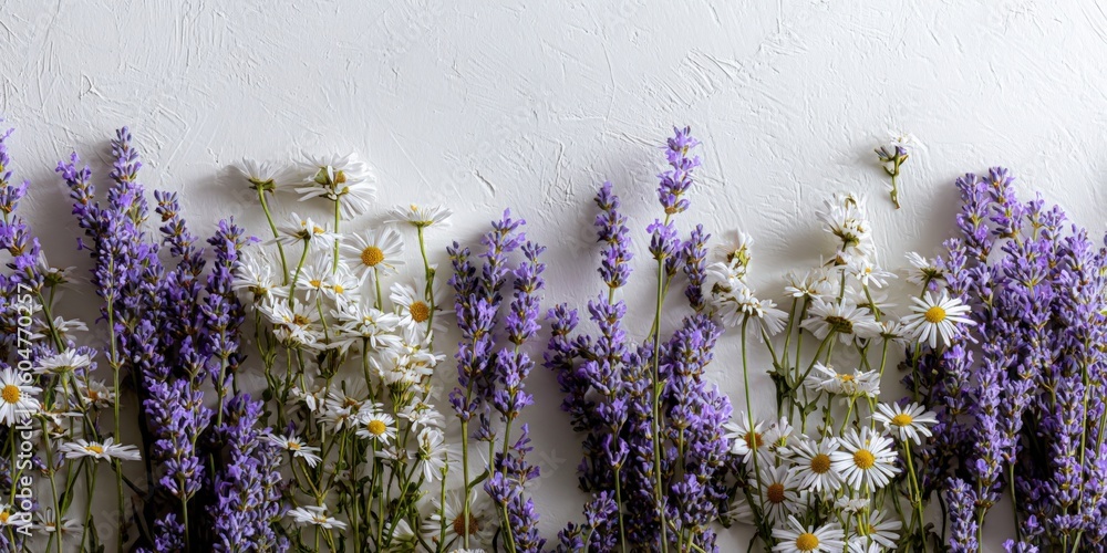Obraz premium Vibrant Fresh Lavender and Daisy Flower Arrangement Decorating a White Wall for a Natural Garden Style Interior Design Accent