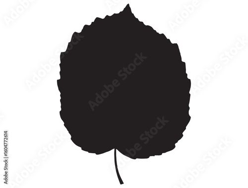 ASPEN LEAF SILHOUETTE