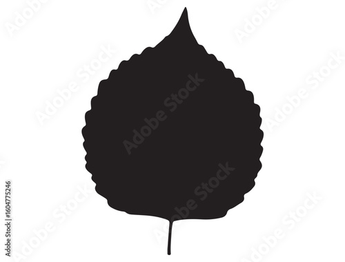 ASPEN LEAF SILHOUETTE