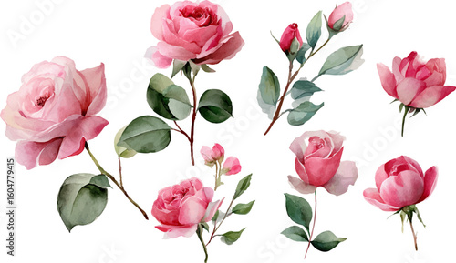 bouquet of pink roses