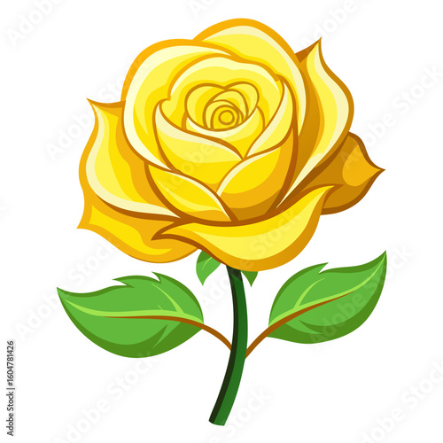 yellow rose vector illustration