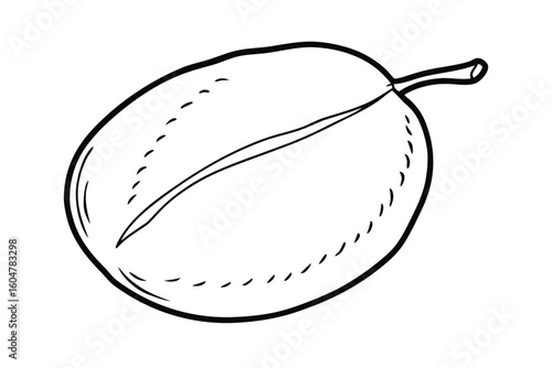 Sapodilla With Soft Texture Vector Style No Text