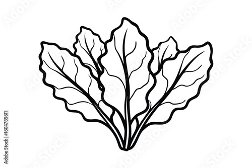 Red Swiss Chard Leaves Flat Vector No Text