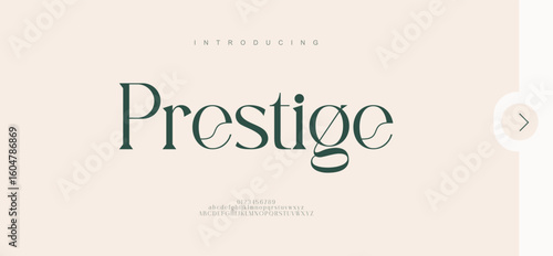 Prestige Minimal luxury font alphabet logo. Typography beauty fashion elegant minimalist serif italic fonts decorative wedding vintage retro logos. vector illustration
