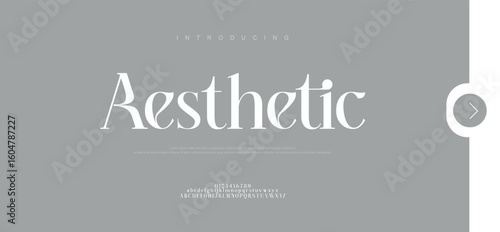 Aesthetic Elegant Font Uppercase Lowercase and Number. Classic Lettering Minimal Fashion Designs. Typography fonts regular decorative vintage concept. vector illustration
