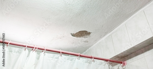 Canvastavla Water stain on the home ceiling