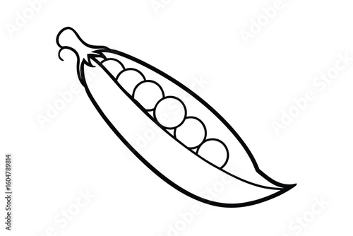 Green Peas Pod Open Vector Style No Text