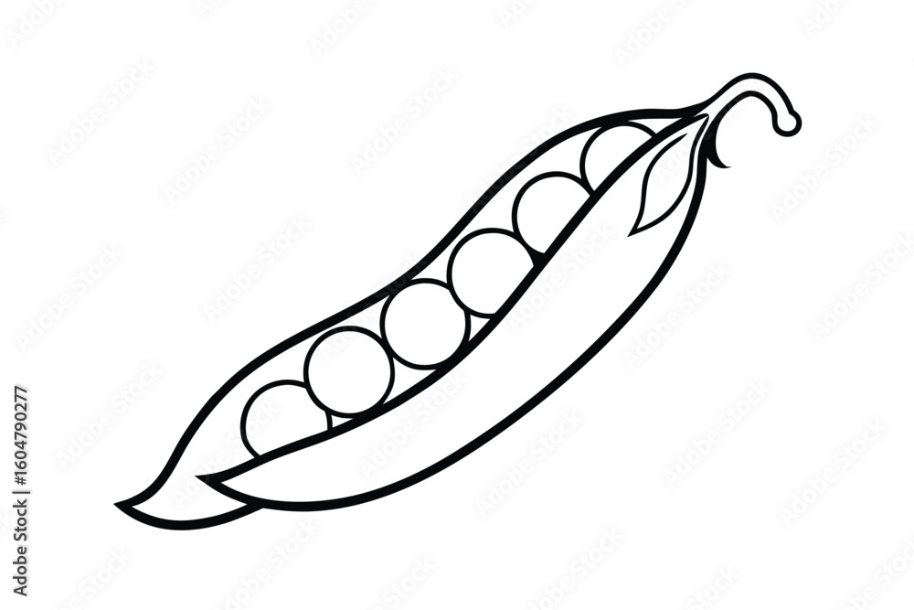 Green Bean Pod With Peas Inside Clean Vector Green Bean Pod With Peas Inside Clean Vector