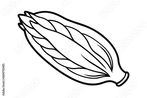 Endive In Flat Design No Text No Background