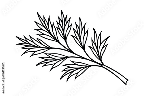 Dill Leaves Isolated Minimal Vector No Text