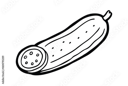 Cucumber With Cross Section Clean Vector